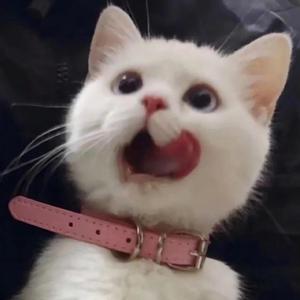 欧美日韩夫妻性生活
