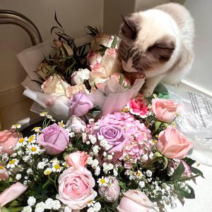 欧美日韩夫妻性生活
